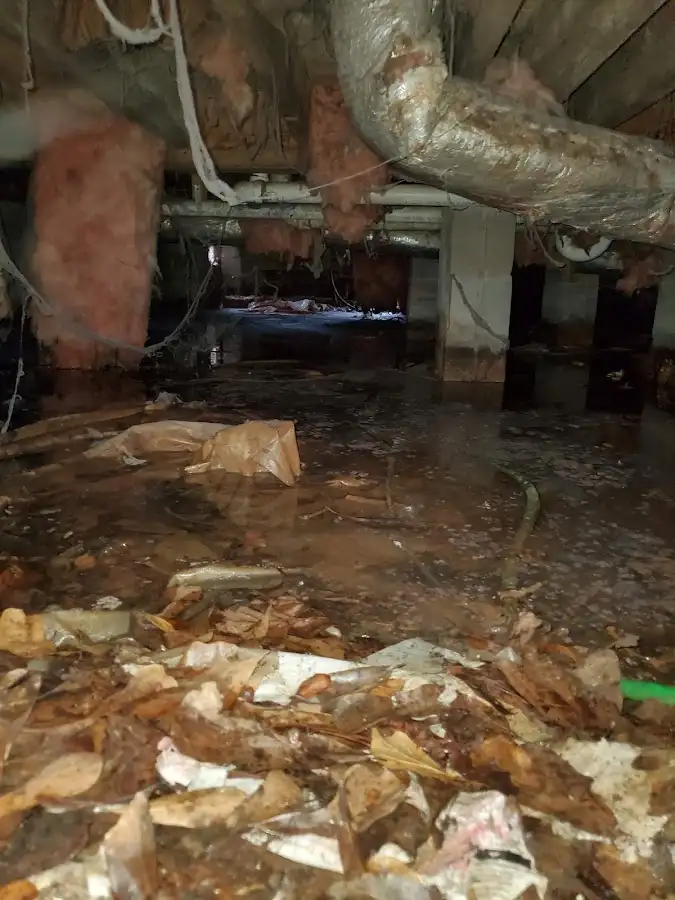 Crawl space flood assessment for Leak Detection & Repair in Ives Estates